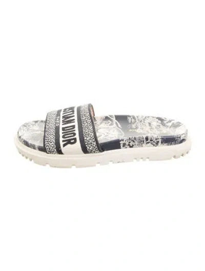 Pre-owned Dior Canvas Graphic Print Slides In Blue