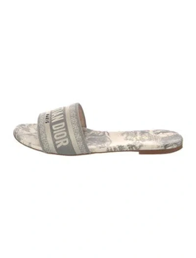 Pre-owned Dior Canvas Graphic Print Slides In Gray