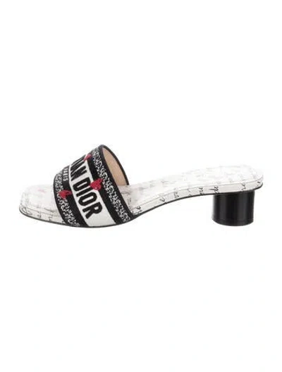 Pre-owned Dior Canvas Graphic Print Slides In Grey