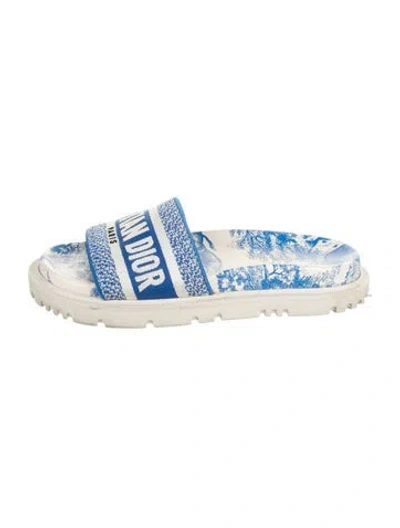 Pre-owned Dior Canvas Printed Mules In Blue