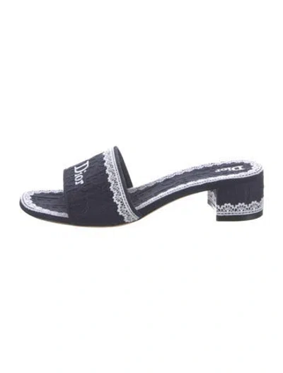 Pre-owned Dior Canvas Printed Slides In Blue