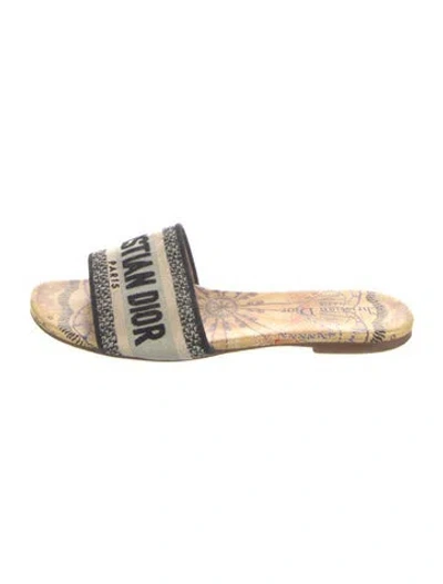 Pre-owned Dior Canvas Printed Slides In Blue