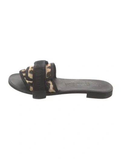 Pre-owned Dior Canvas Printed Slides In Gray