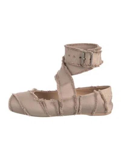Pre-owned Dior Canvas Striped Ballet Flats In Neutrals