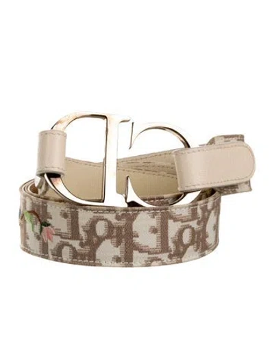 Pre-owned Dior Canvas Waist Belt In Neutrals