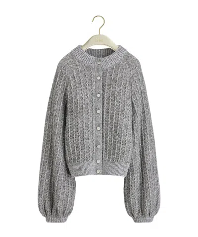 Dior Cardigan In Gray