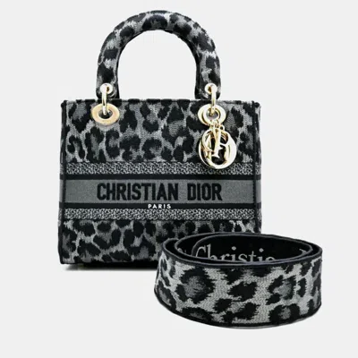 Pre-owned Dior Christian  Lady  Canvas Handbag In Gray