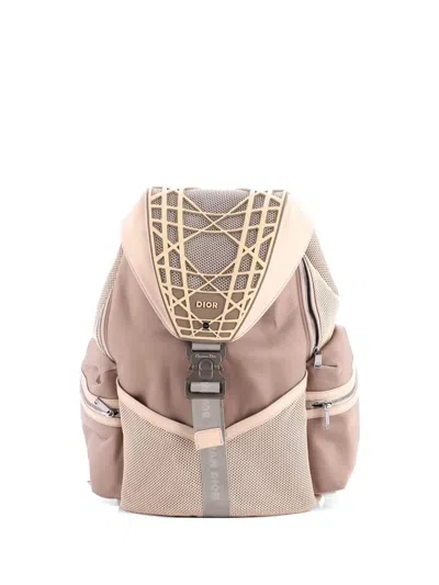 Pre-owned Dior Cobra Nylon With Rubber And Mesh Backpack In Neutral