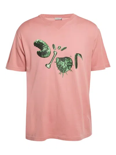 Pre-owned Dior Crew-neck T-shirt In Pink