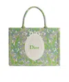 Dior Double-handle Shoulder Bag In Multi