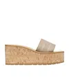 Dior Dway Platform Slide In Brown