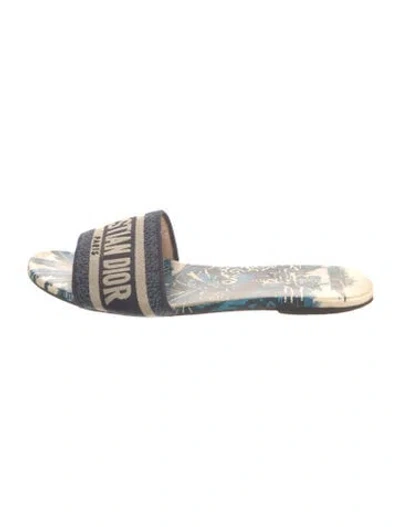 Pre-owned Dior Dway Printed Slides In Blue