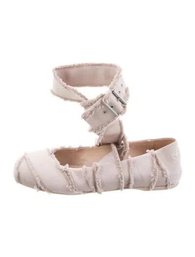 Pre-owned Dior Embroidered Accent Ballet Flats In Pink