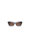 Dior Eyewear Cat-eye Frame Sunglasses In Gray