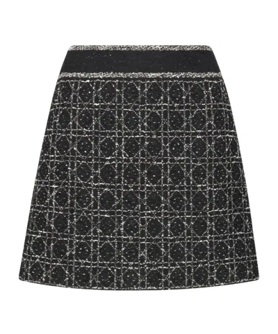 Dior Flared Mini Skirt In Black