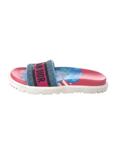 Pre-owned Dior Floral Print Embroidered Accent Slides In Blue