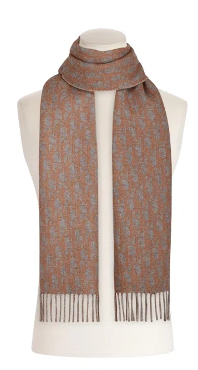 Dior Fringed Scarf In Brown