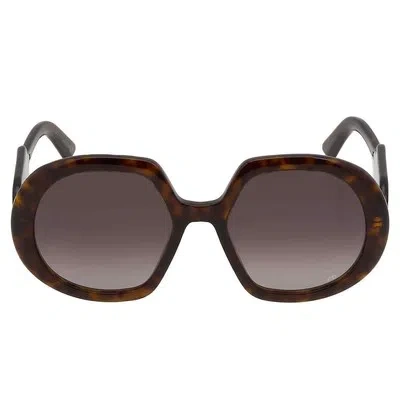 Pre-owned Dior Gradient Smoke Butterfly Ladies Sunglasses Bobby R1u 20a1 56 In Gray