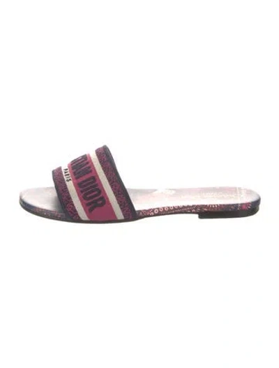 Pre-owned Dior Graphic Print Embroidered Accent Slides In Blue