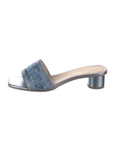 Pre-owned Dior Graphic Print Embroidered Accent Slides In Blue