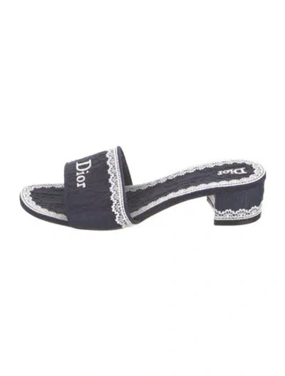 Pre-owned Dior Graphic Print Embroidered Accent Slides In Blue