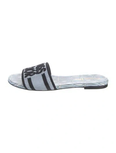 Pre-owned Dior Graphic Print Embroidered Accent Slides In Blue