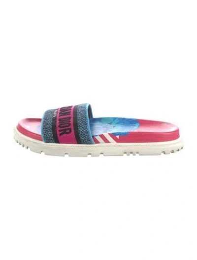 Pre-owned Dior Graphic Print Embroidered Accent Slides In Blue