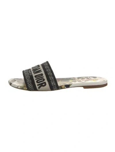 Pre-owned Dior Graphic Print Embroidered Accent Slides In Blue