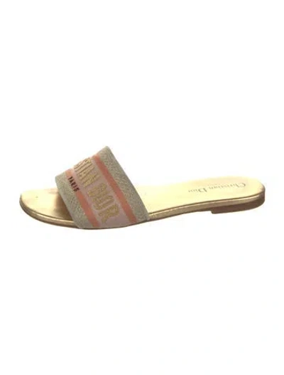 Pre-owned Dior Graphic Print Embroidered Accent Slides In Metallic/neutrals