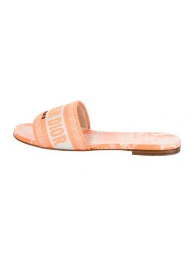 Pre-owned Dior Graphic Print Embroidered Accent Slides In Orange