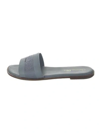Pre-owned Dior Graphic Print Slides In Blue