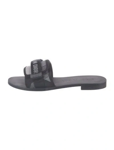 Pre-owned Dior Graphic Print Slides In Blue