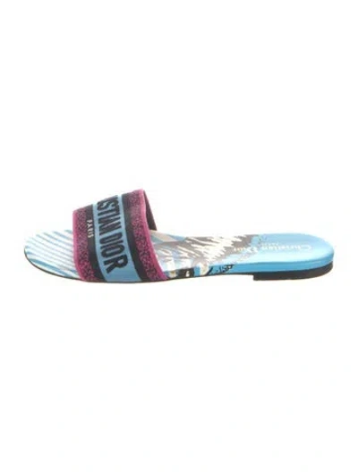 Pre-owned Dior Graphic Print Slides In Blue