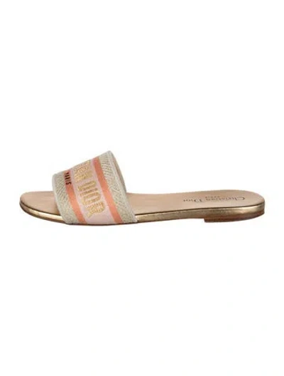 Pre-owned Dior Graphic Print Slides In Blue/gold