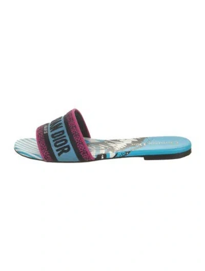 Pre-owned Dior Graphic Print Slides In Blue/pink