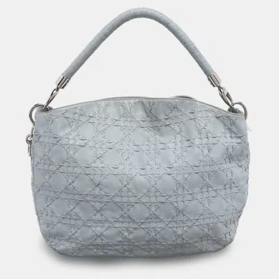 Pre-owned Dior Hobo In Blue