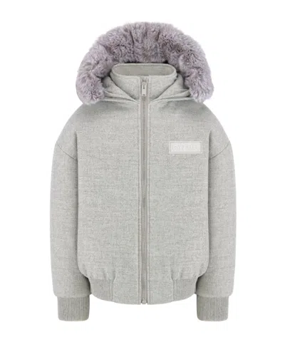 Dior Hooded Jacket In Gray