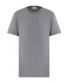 Dior Icons Short Sleeved T-shirt In Gray