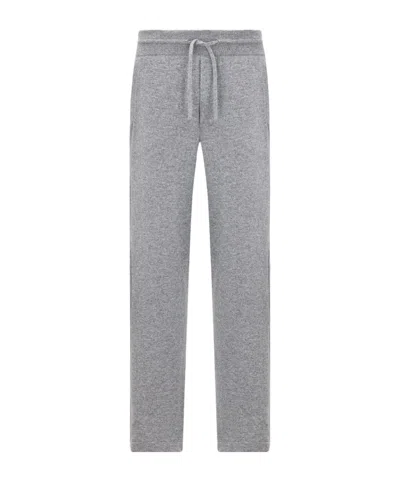 Dior Icons Track Pants In Gray