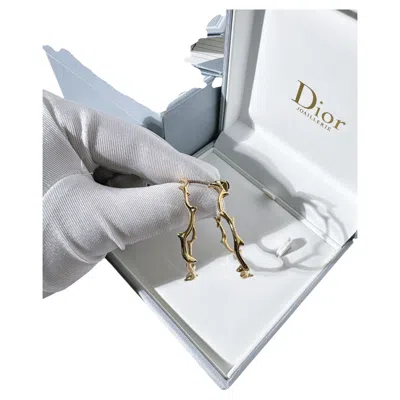 Pre-owned Dior Jewelry Bois De Rose Large-hoop Earrings In Multiple