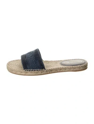 Pre-owned Dior Jute Graphic Print Slides In Blue