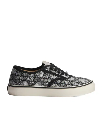 Dior Lace-up Low-top Casual Shoes In Black