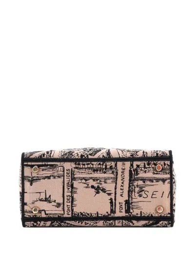 Pre-owned Dior Lady D-lite Bag Embroidered Canvas Medium Satchel In Black