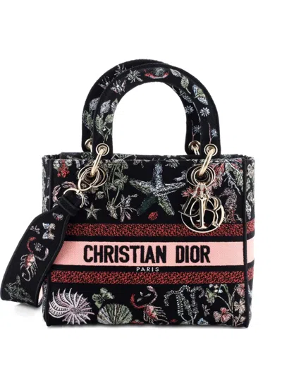 Pre-owned Dior Lady D-lite Bag Embroidered Canvas Medium Satchel In Multi