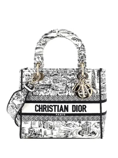 Pre-owned Dior Lady D-lite Bag Embroidered Canvas Medium Satchel In Multi