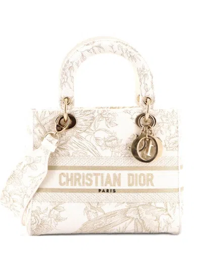 Pre-owned Dior Lady D-lite Bag Embroidered Canvas Medium Satchel In Neutral