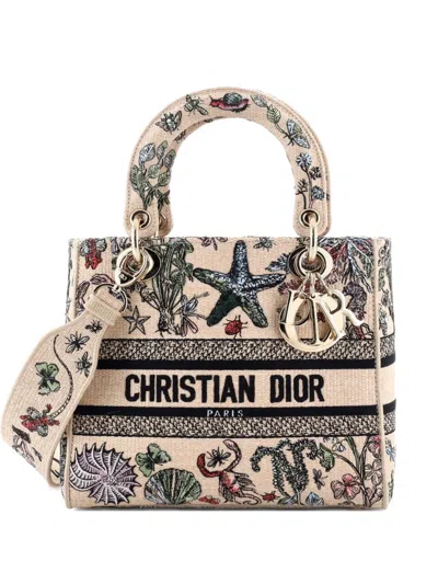 Pre-owned Dior Lady D-lite Bag Embroidered Raffia Medium Satchel In Neutral