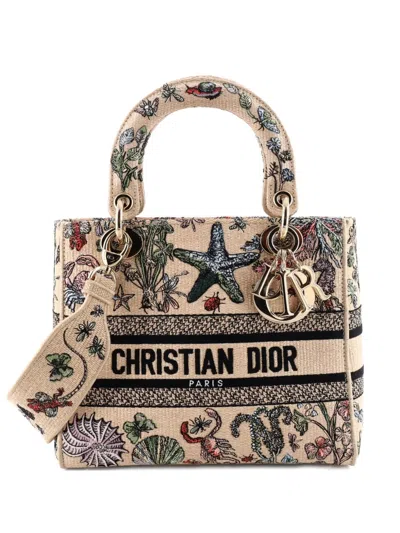 Pre-owned Dior Lady D-lite Bag Embroidered Raffia Medium Satchel In Neutral