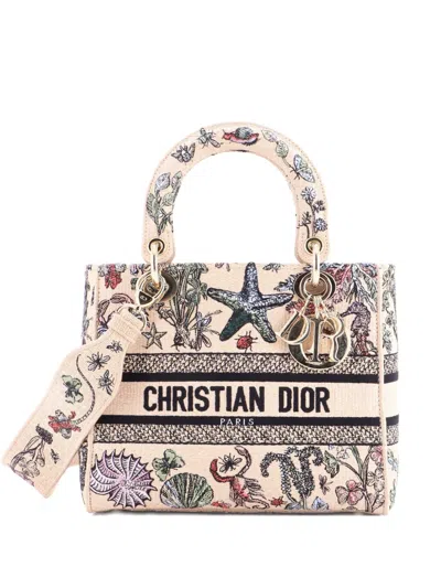 Pre-owned Dior Lady D-lite Bag Embroidered Raffia Medium Satchel In Neutral