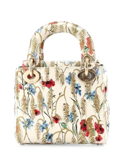 Pre-owned Dior Lady  Chain Bag Embroidered Printed Calfskin Mini Satchel In Multicolour